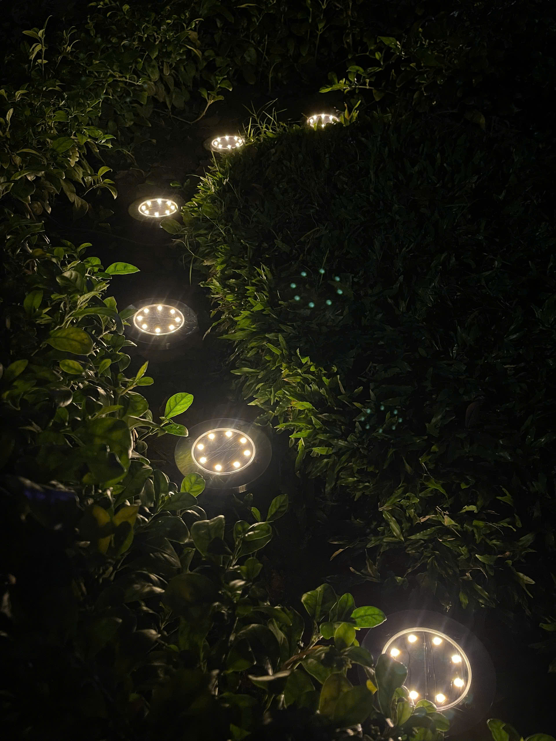 Z7568752951481_4e836b0b5ae3ce939447f9f465b0152f