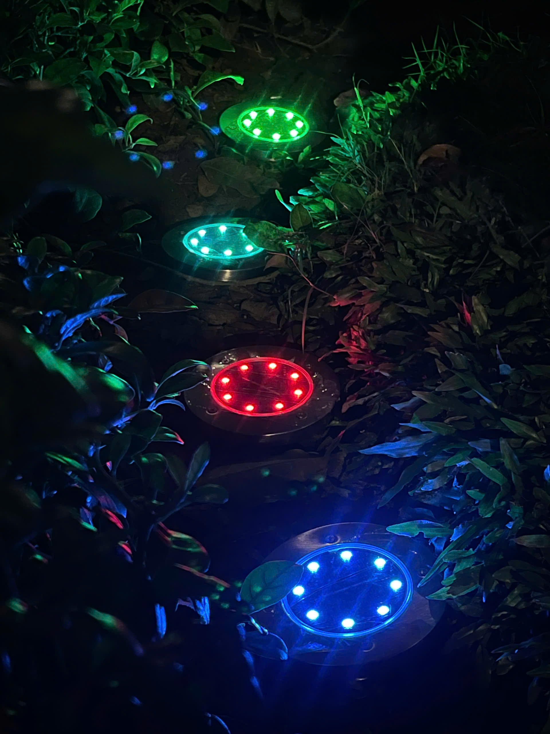 Z7568752977337_eaad9970d999284aab7dfce380071733